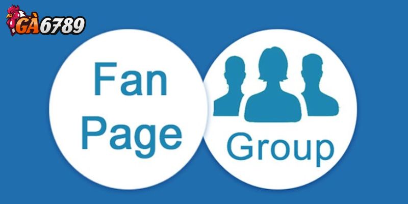 Fanpage Facebook có gì hay - Thông tin cập nhật liên tục và chính xác