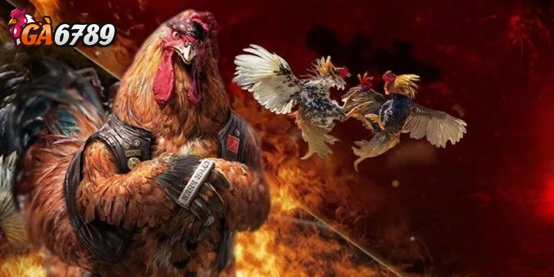 Giao diện thân thiện, dễ sử dụng