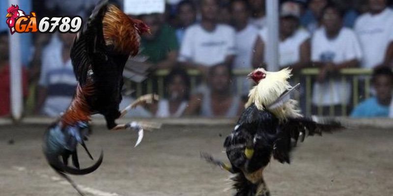 Không giật, không lag giữa trận