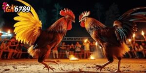 Tránh các đường link giả mạo